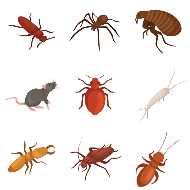 pest library