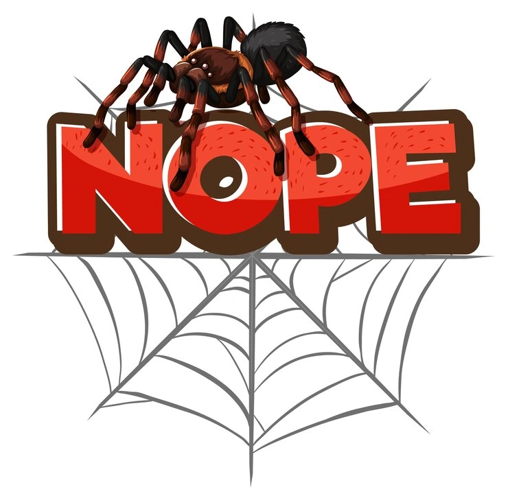 spider treatment
