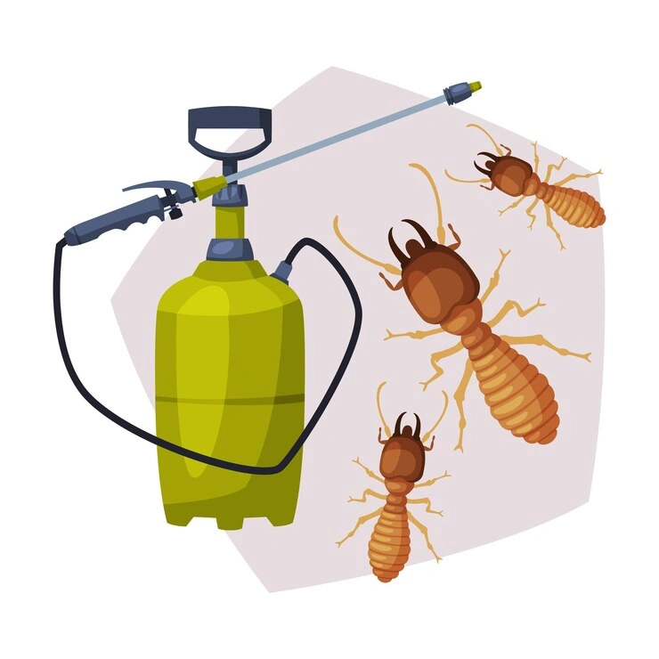 termite control