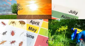 Pest Control Calendar: When to Treat What in GA & FL Climates